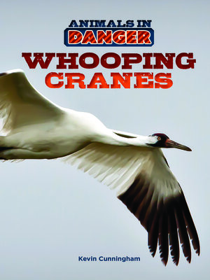 cover image of Whooping Cranes